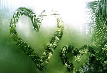 乌迪内斯足球俱乐部,意甲赛场的造星工厂与独特生存之道?