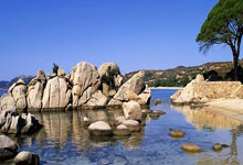 欧冠ds足球是什么?它能为球迷带来哪些独特体验?